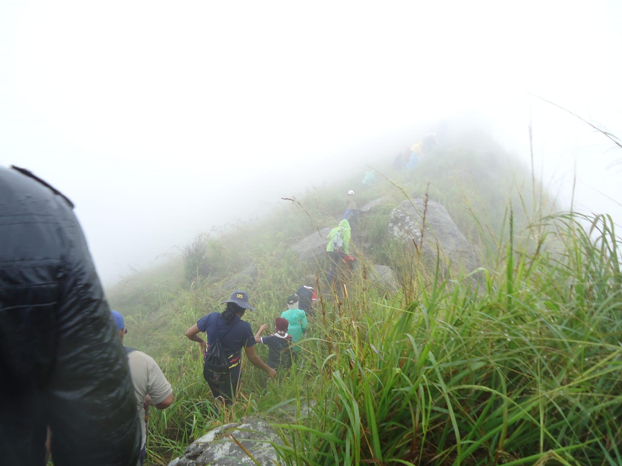 Students hiking together